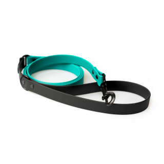 Vodítko pro psy Mint Black